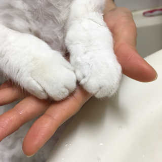 따니님이 올린 리뷰 사진 1