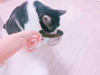 나강나강님이 올린 리뷰 사진 3