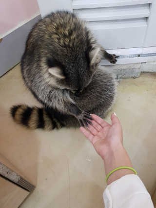신예지님이 올린 리뷰 사진 3