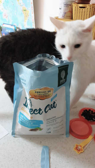 코코야옹님이 올린 리뷰 사진 2