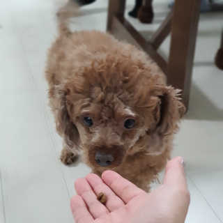 수호맘님이 올린 리뷰 사진 1
