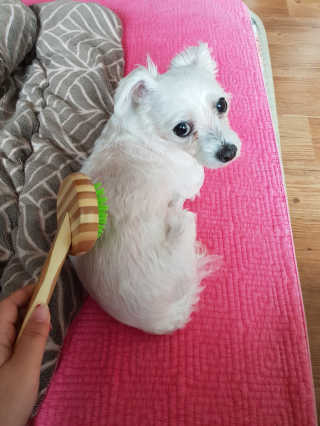 도치님이 올린 리뷰 사진 1