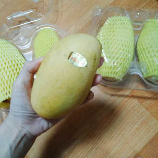 1zczczc1님이 올린 리뷰 사진 3