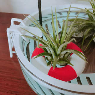 노나나님이 올린 리뷰 사진 3