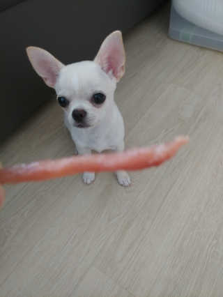 문띠님이 올린 리뷰 사진 3