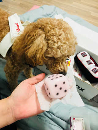 채리짱님이 올린 리뷰 사진 3