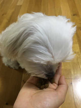 더 잘먹는 스누펫 펫 도시락_어덜트 — 5점을 준 리뷰어가 2018년 5월 올린 사용 사진