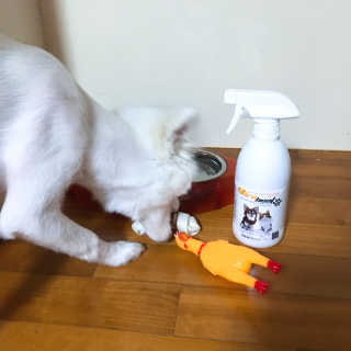 뎌니님이 올린 리뷰 사진 1