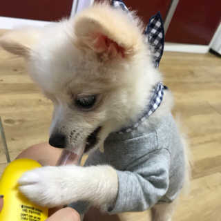 ym0119님이 올린 리뷰 사진 3
