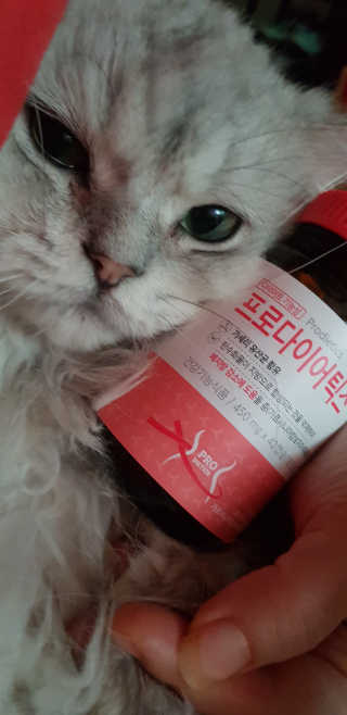 이영실님이 올린 리뷰 사진 2