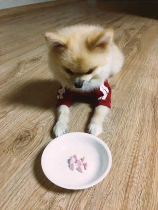 박성훈님이 올린 리뷰 사진 3