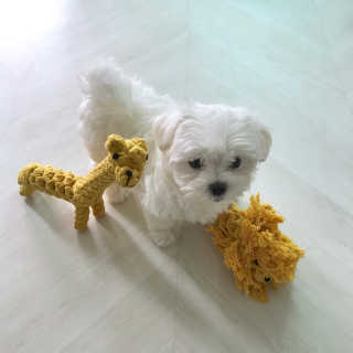 sohyeon님이 올린 리뷰 사진 1