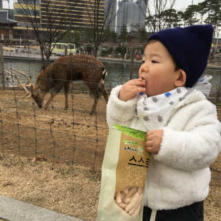 범어멈님이 올린 리뷰 사진 2