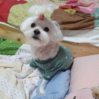 냥아치들님이 올린 리뷰 사진 4