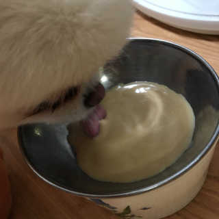 dodo님이 올린 리뷰 사진 2