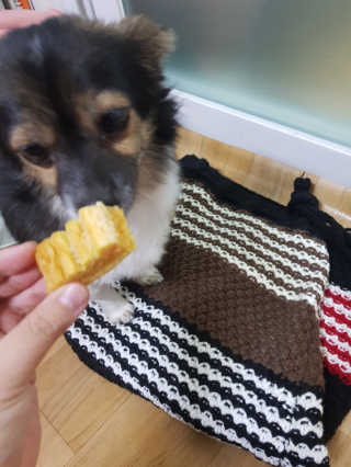 꽃수니어니님이 올린 리뷰 사진 3