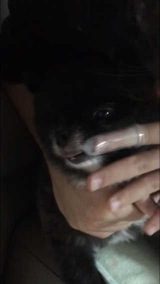 SeoHeePark님이 올린 리뷰 사진 2