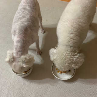 구름님이 올린 리뷰 사진 3
