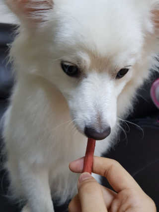 뇽뇽님이 올린 리뷰 사진 4