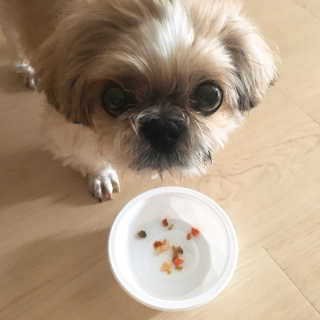 향이님이 올린 리뷰 사진 4