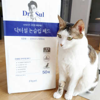 제니언니님이 올린 리뷰 사진 2