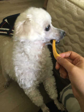 안유진님이 올린 리뷰 사진 4