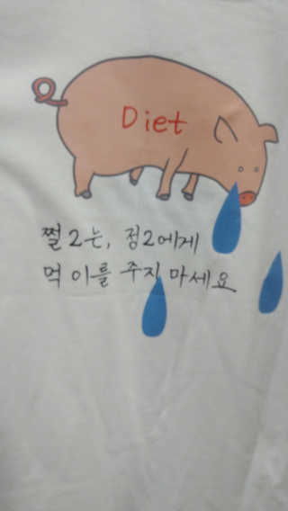 구구도 여덟글자로 쉽게 만드는 디자인 티셔츠 — 5점을 준 리뷰어가 2017년 4월 올린 사용 사진