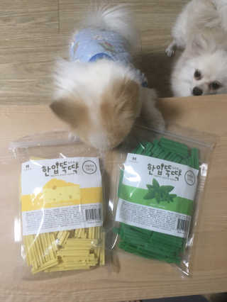 [펫토리아] BEST 한입뚝딱 실속형 강아지 덴탈껌 — 5점을 준 리뷰어가 2019년 2월 올린 사용 사진