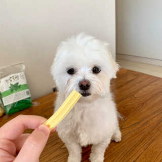 토리님이 올린 리뷰 사진 3
