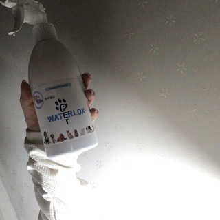 Ghhryh님이 올린 리뷰 사진 1