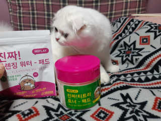좋아님이 올린 리뷰 사진 1