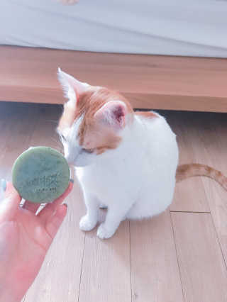 김별님이 올린 리뷰 사진 2
