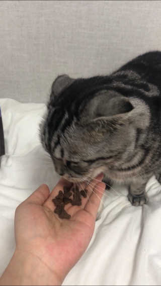 단이님이 올린 리뷰 사진 4