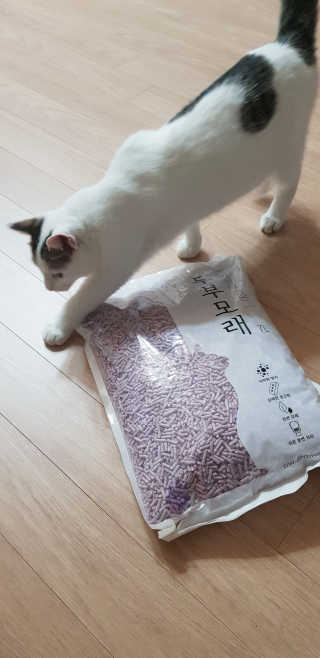 쭈하님이 올린 리뷰 사진 2