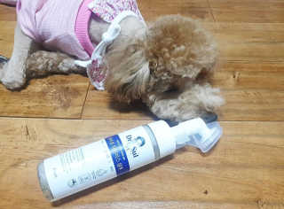 란아님이 올린 리뷰 사진 1