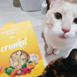 JENNY님이 올린 리뷰 사진 1