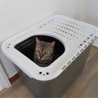 🌸 𝑱𝒆𝒏𝒏𝒚님이 올린 리뷰 사진 3