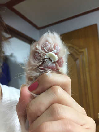 YunkyoungCho님이 올린 리뷰 사진 4