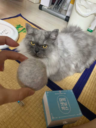 미코지혜님이 올린 리뷰 사진 2