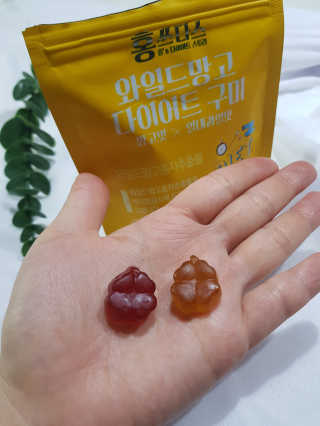 프롬바이오 [1+1] 홍쓰다스 와일드망고 다이어트 구미 10일분 — 5점을 준 리뷰어가 2020년 1월 올린 사용 사진
