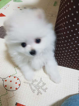공지수님이 올린 리뷰 사진 4
