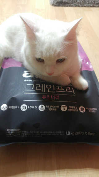 풀무원 아미오 그레인프리 3종 — 5점을 준 리뷰어가 2018년 4월 올린 사용 사진