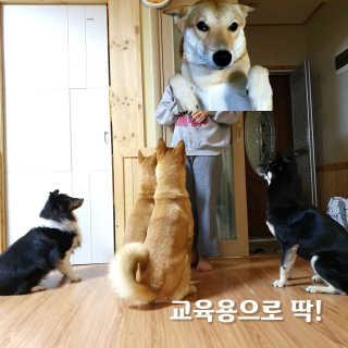 happyfactory님이 올린 리뷰 사진 3