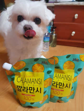 뽀오오옹님이 올린 리뷰 사진 1
