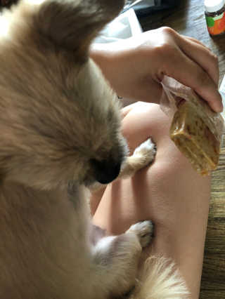 조원화님이 올린 리뷰 사진 4