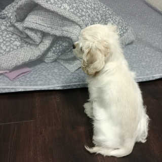 째니니님이 올린 리뷰 사진 2