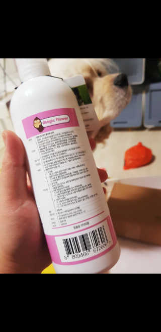 조소민님이 올린 리뷰 사진 2