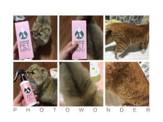 하린님이 올린 리뷰 사진 1