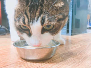 딸기❤️님이 올린 리뷰 사진 3