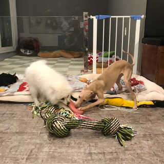 무농진님이 올린 리뷰 사진 3
